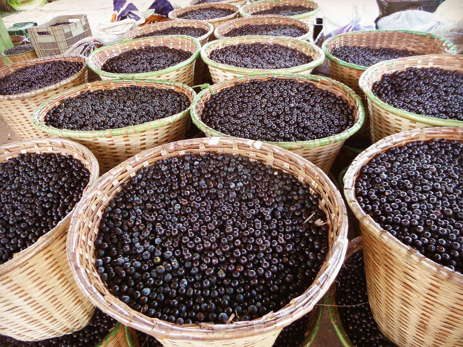 Körbe voller Açaí-Früchte im Hafen von Igarapé-Miri, Pará, Brasilien.